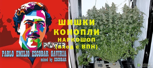 амф Киреевск